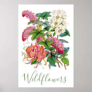 Vintage Wildblumen Rustikaler Cotattcore Poster