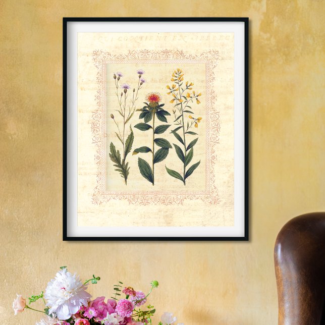 Vintage Wilde Blume Feminine Boudoir Print Poster (Von Creator hochgeladen)