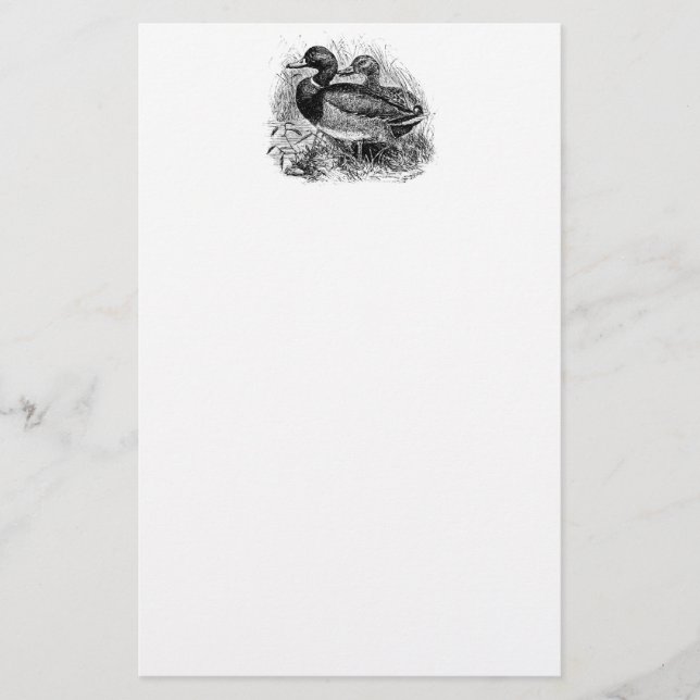 Vintage wilde Stockente duckt personalisierte Briefpapier (Vorderseite)