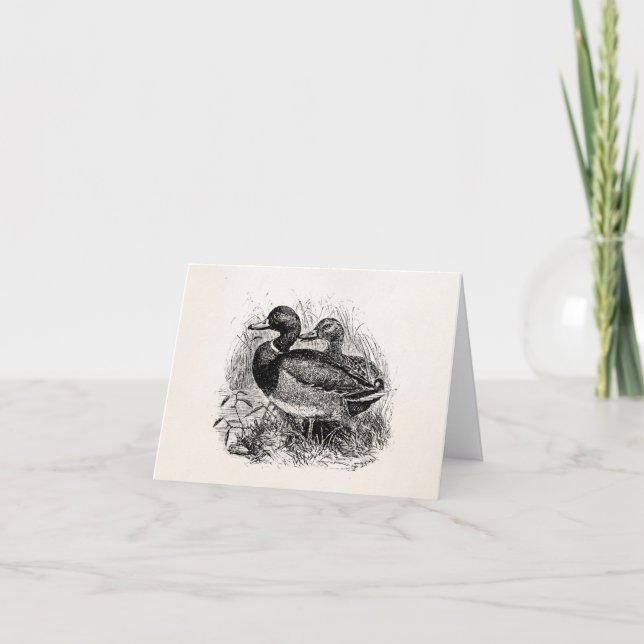 Vintage wilde Stockente duckt personalisierte Karte (Vorderseite)