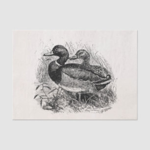 Vintage wilde Stockente duckt personalisierte Seidenpapier