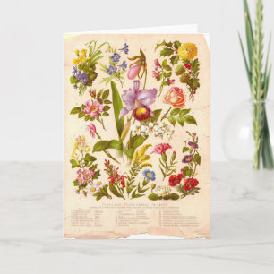 Vintage Wildflower Greeting Card Karte