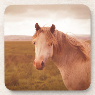 Vintage-Wildpferd Untersetzer
