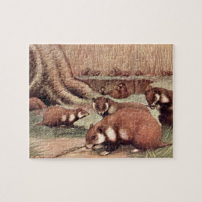 Vintage Wildtiere, Hamster von Louis Sargent (Horizontal)