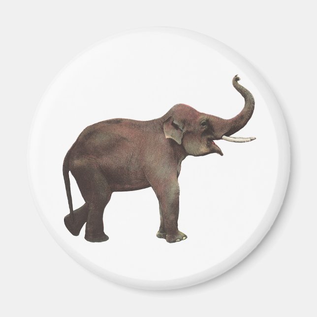 Vintage Wildtiere, Viel Glück-asiatische Elefanten Magnet (Vorne)