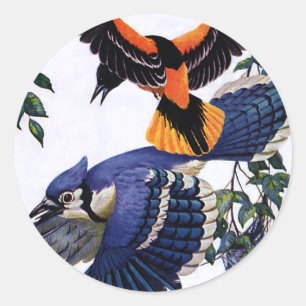 Vintage-Wildtiere Vögel, Blaue Häher fliegen Runder Aufkleber