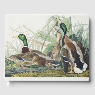 Vintage-Wildtierkunst von Audubon: Stockenten-Ente Gästebuch