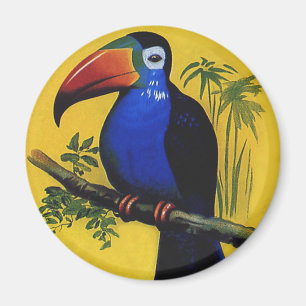 Vintage-Wildtiervögel, tropischer Tukan auf einem  Magnet