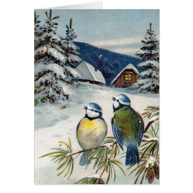 Vintage Winterpostkarte mit Vögeln (Vorne)