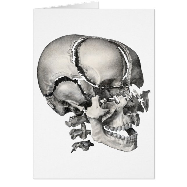 Vintage Wissenschaft menschliche Anatomie, antiker (Vorne)