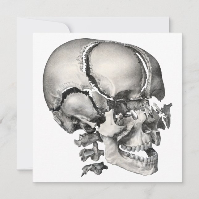 Vintage Wissenschaft menschliche Anatomie, antiker (Vorderseite)