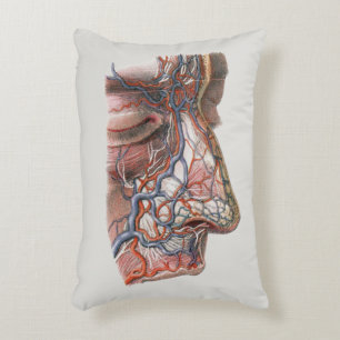 Vintage-Wissenschaft Menschliche Anatomie, Gesicht Dekokissen