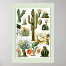 Vintage wissenschaftliche Illustration