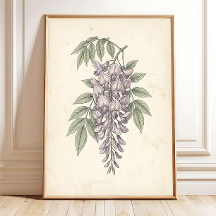 Vintage-Wisteria-Boho-Botanikdruck Poster