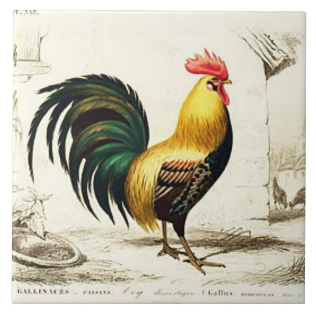 Vintage Wohngestaltung von Paris Fliese (Vorderseite)