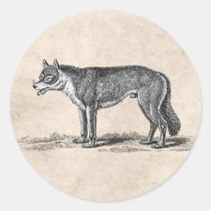 Vintage Wolf-Illustration - Wölfe Vorlage 1800er J Runder Aufkleber