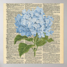 Vintage-Wörterbuch Blaue Hortensien-Blumen Poster