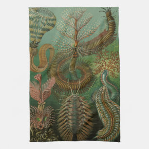 Vintage-Würmer Anneliden Chaetopoda von Ernst Haec Geschirrtuch