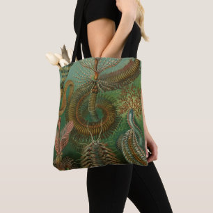 Vintage-Würmer Anneliden Chaetopoda von Ernst Haec Tasche