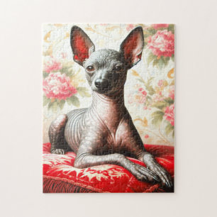 Vintage Xoloitzcuintle Illustration