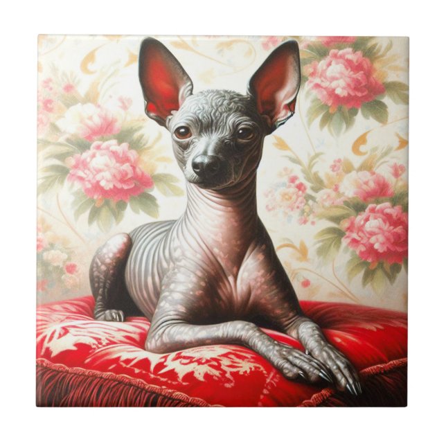 Vintage Xoloitzcuintle Illustration Fliese (Vorderseite)