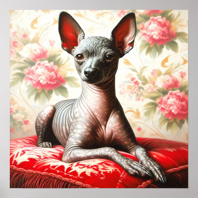 Vintage Xoloitzcuintle Illustration Poster (Vorne)