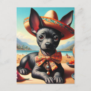 Vintage Xoloitzcuintle Postkarte