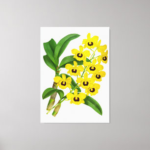 Vintage Yellow Orchid Flower - Canvas Print Leinwanddruck