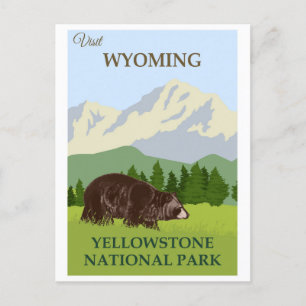 Vintage Yellowstone-Nationalpark-Bär Postkarte