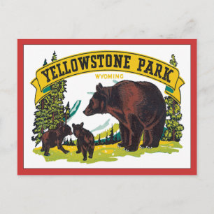 Vintage Yellowstone Park Wyoming USA Postkarte