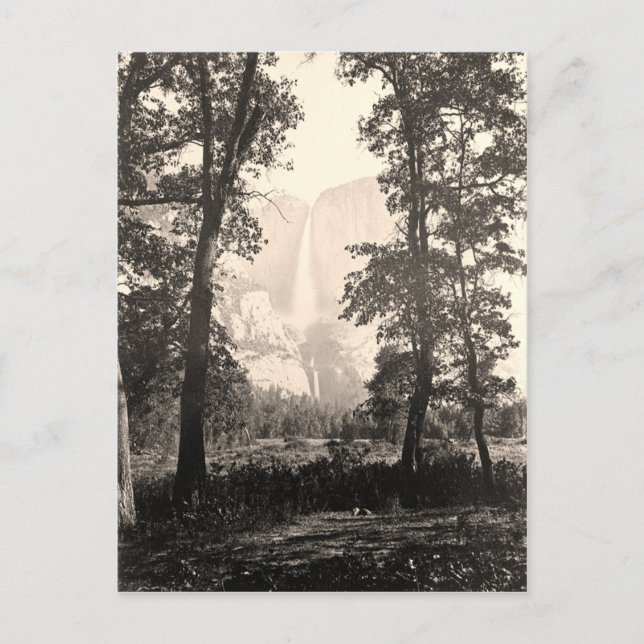 Vintage Yosemite Falls Postkarte (Vorderseite)