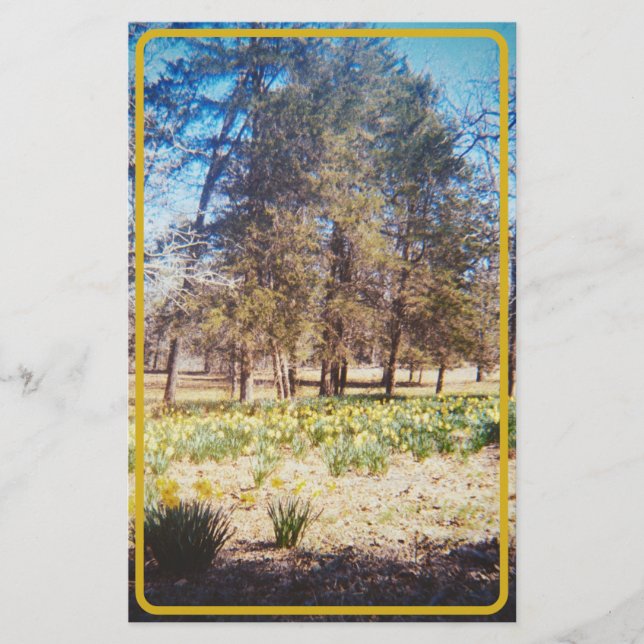 Vintage Zahnheilkunde Briefpapier (Vorderseite)