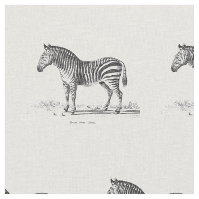 Vintage-Zebra Stoff (Nahaufnahme)