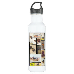 Vintage Zigarettenkarten von Gordon Setter Edelstahlflasche