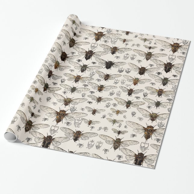 Vintage Zikaden-Illustration Geschenkpapier (Ungerollt)
