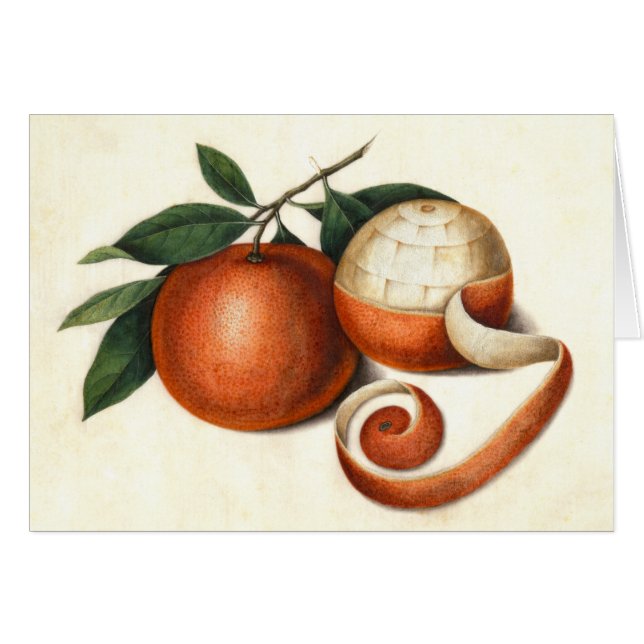 Vintage Zitrusfrüchte - Chinesische Orangen (Vorderseite (Horizontal))
