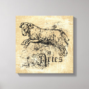 Vintage Zodiac Aries Leinwanddruck