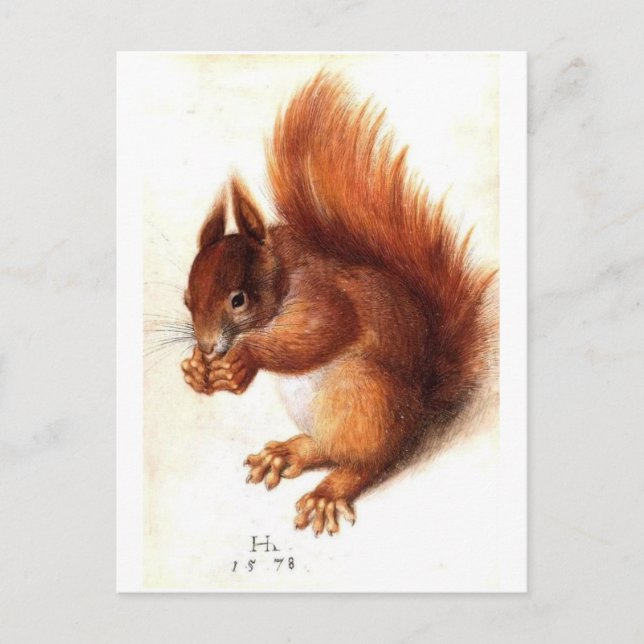 Vintage Zoologische Illustration Postkarte (Vorderseite)