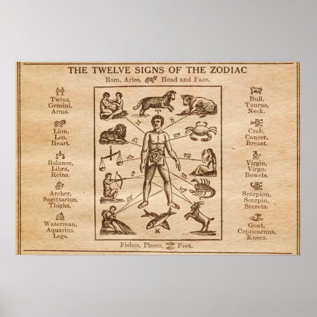 Vintagen 12 Zeichen des Zodiaks Poster (Vorne)