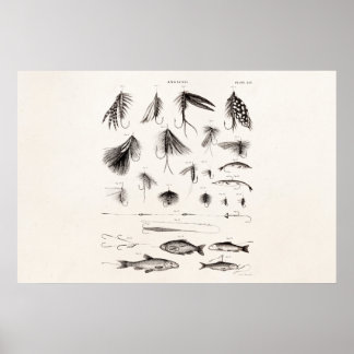 Vintagen 1800er Jahre Angelfliegen lockern Lure Poster
