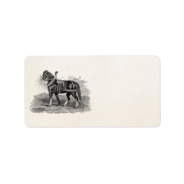 Vintagen 1800er Jahre Pferdezucht Adressaufkleber (Vorne)