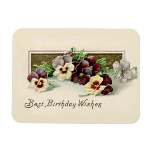 Vintagen Stiefmütterchen Geburtstagswünsche Magnet