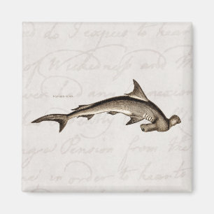 Vintager 1800s Hammerhai-Haifisch-alter Magnet