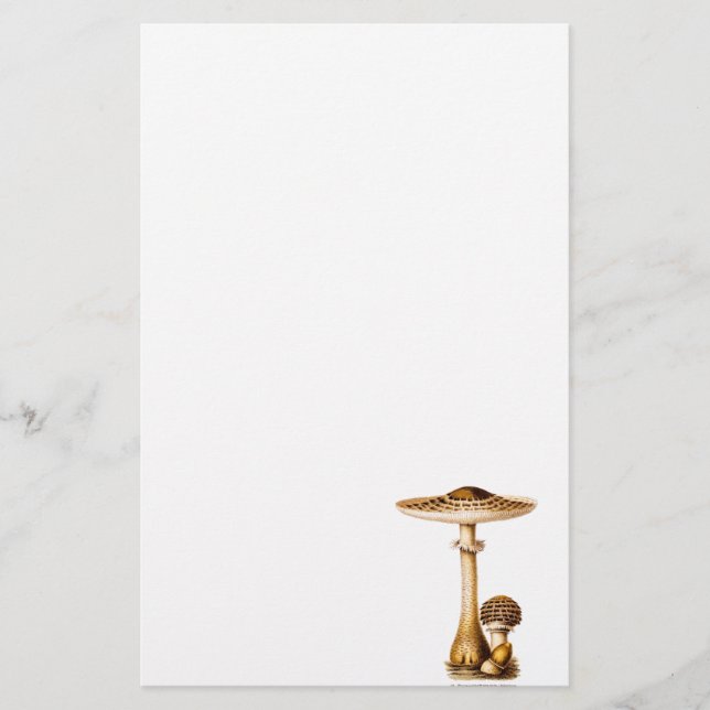 Vintager 1800s Pilz-gepunktete Pilz-Schablone Briefpapier (Vorderseite)
