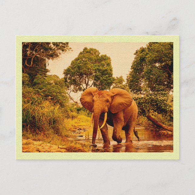 Vintager afrikanischer Elefant der Postkarte (Vorderseite)