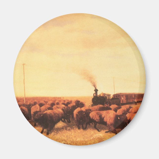 Vintager amerikanischer Westen, vertreten durch NH Magnet (Vorne)