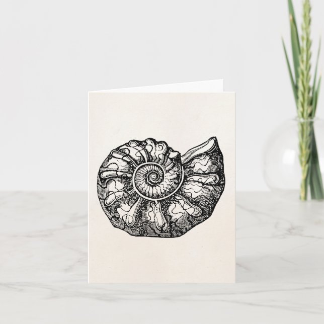 Vintager Ammonitseashell-versteinerte Karte (Vorderseite)