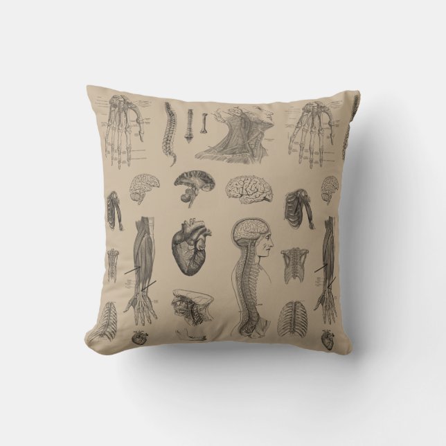 Vintager Anatomie-Druck Kissen (Vorderseite)