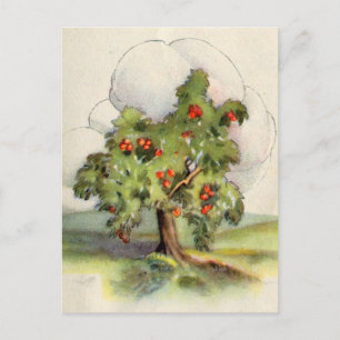 Vintager Apfelbaum Postkarte