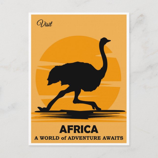 Vintager Besuch Afrikas Afrikanische Straußenreise Postkarte (Vorderseite)